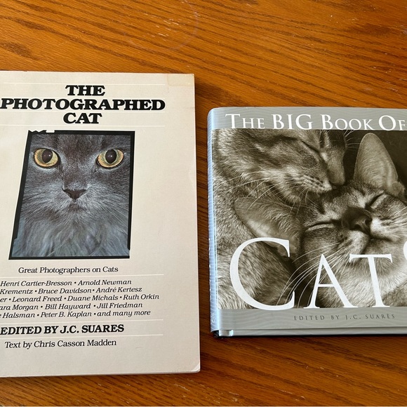 Two books of Cats & Kittens. Cute, cuddly and mischievous A must for Cat Lovers! - Picture 2 of 4